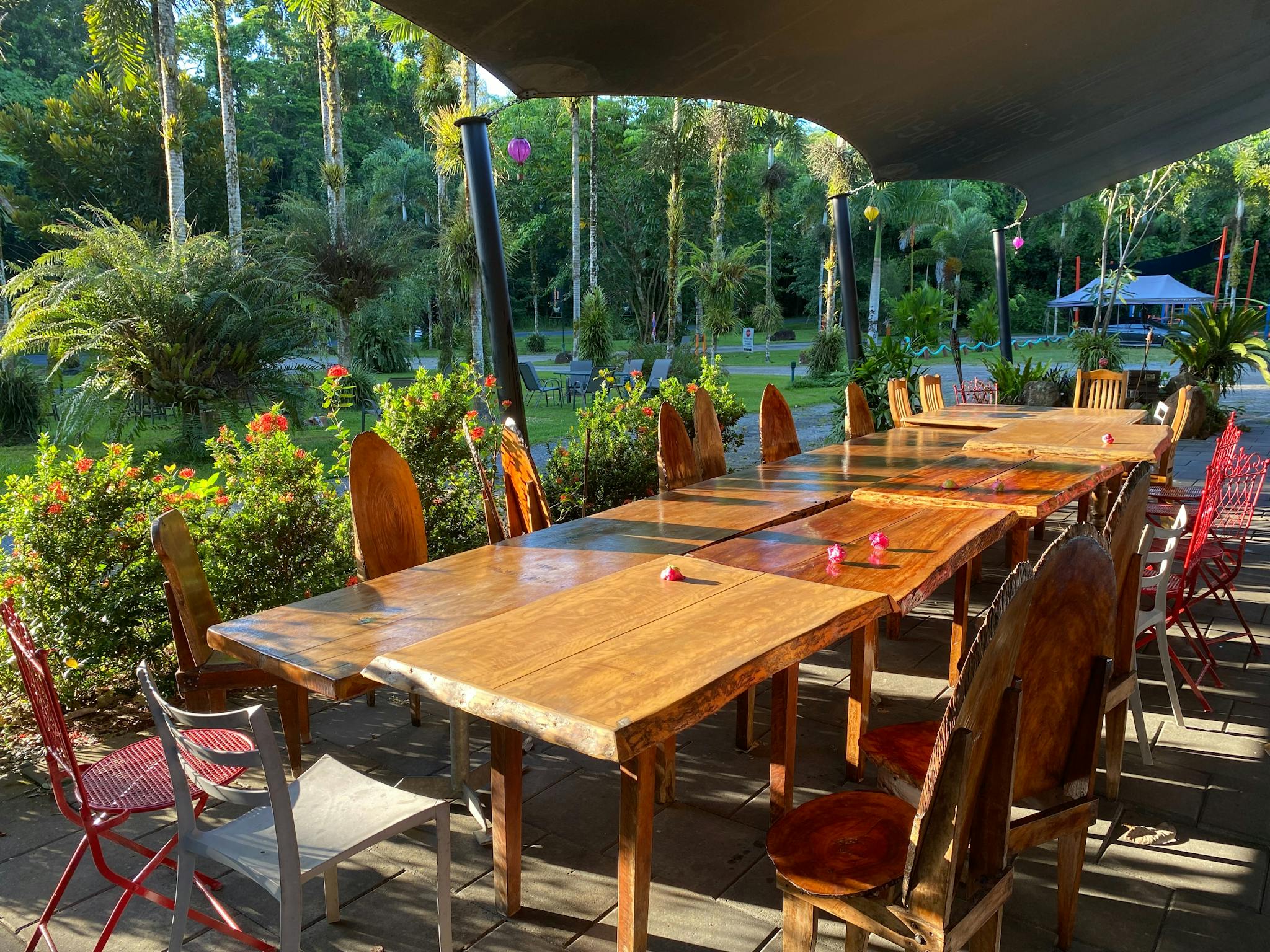 Long timber table in sunlit outside restaurant under canvas area at Daintree Siesta Long timber table in sunlit outside restaurant under canvas area at Daintree Siesta