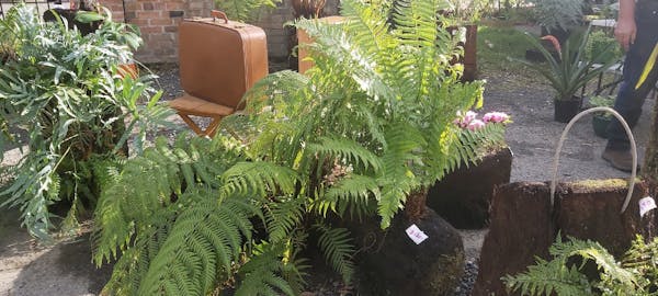 Evandale Sunday Market