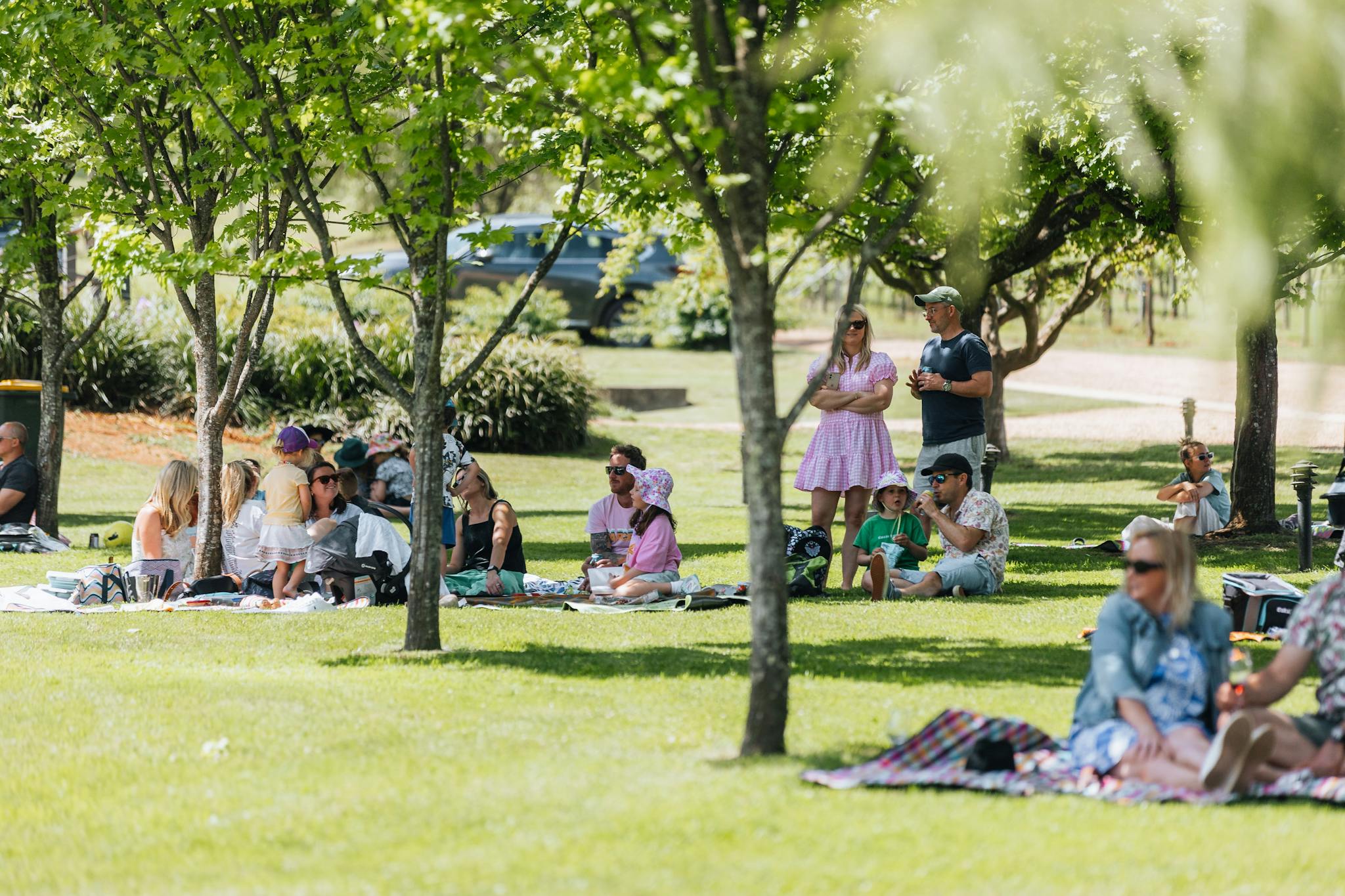 Live music on the lawn at Ringer Reef