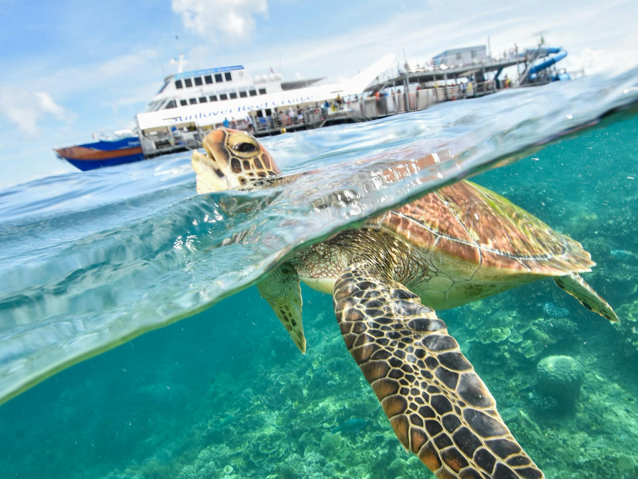 Moore Reef