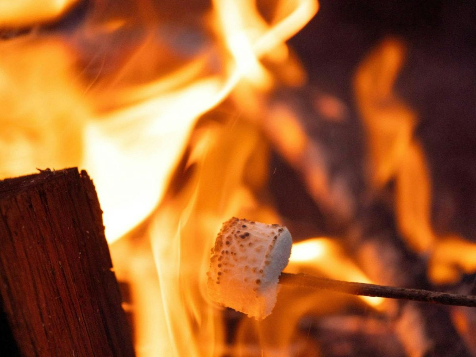 Marshmallow over fire