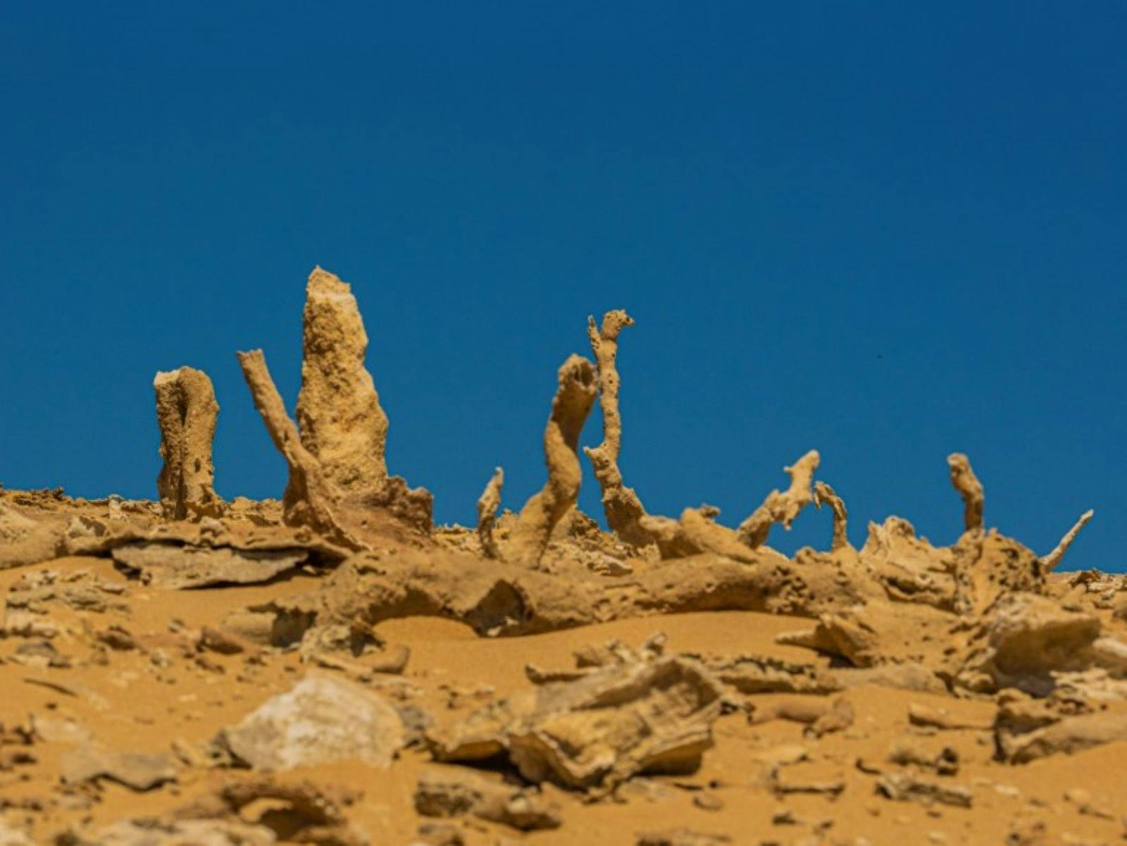 King Island Tours
