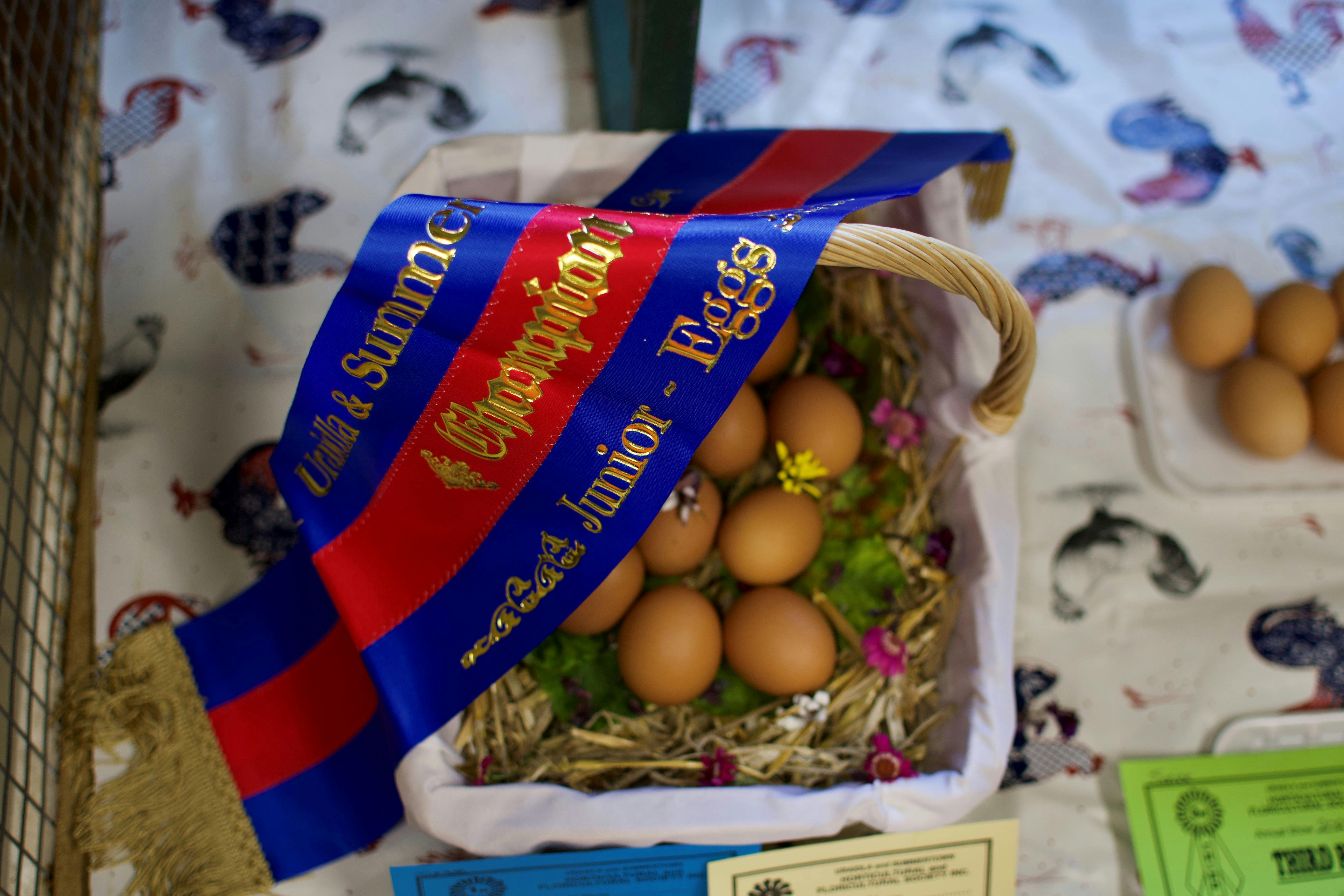 eggs