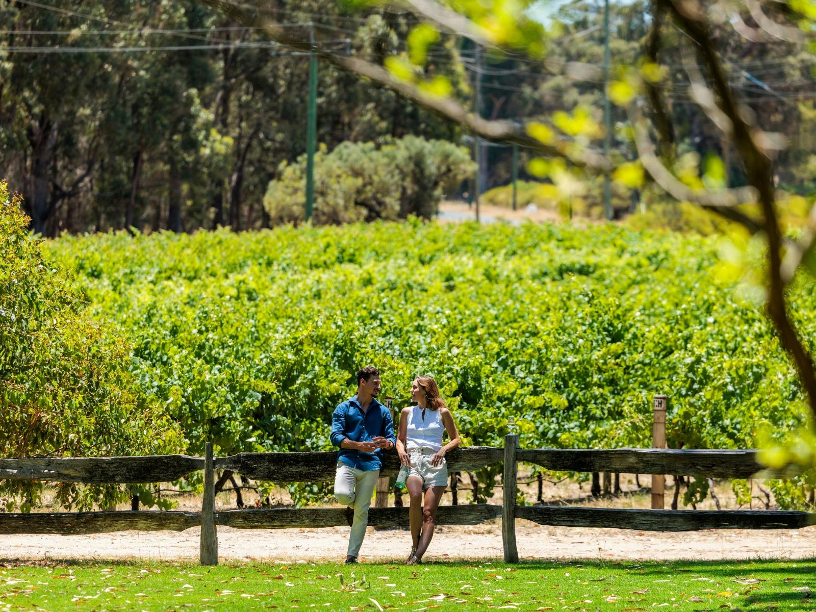 Man and woman standing by lush vineyards