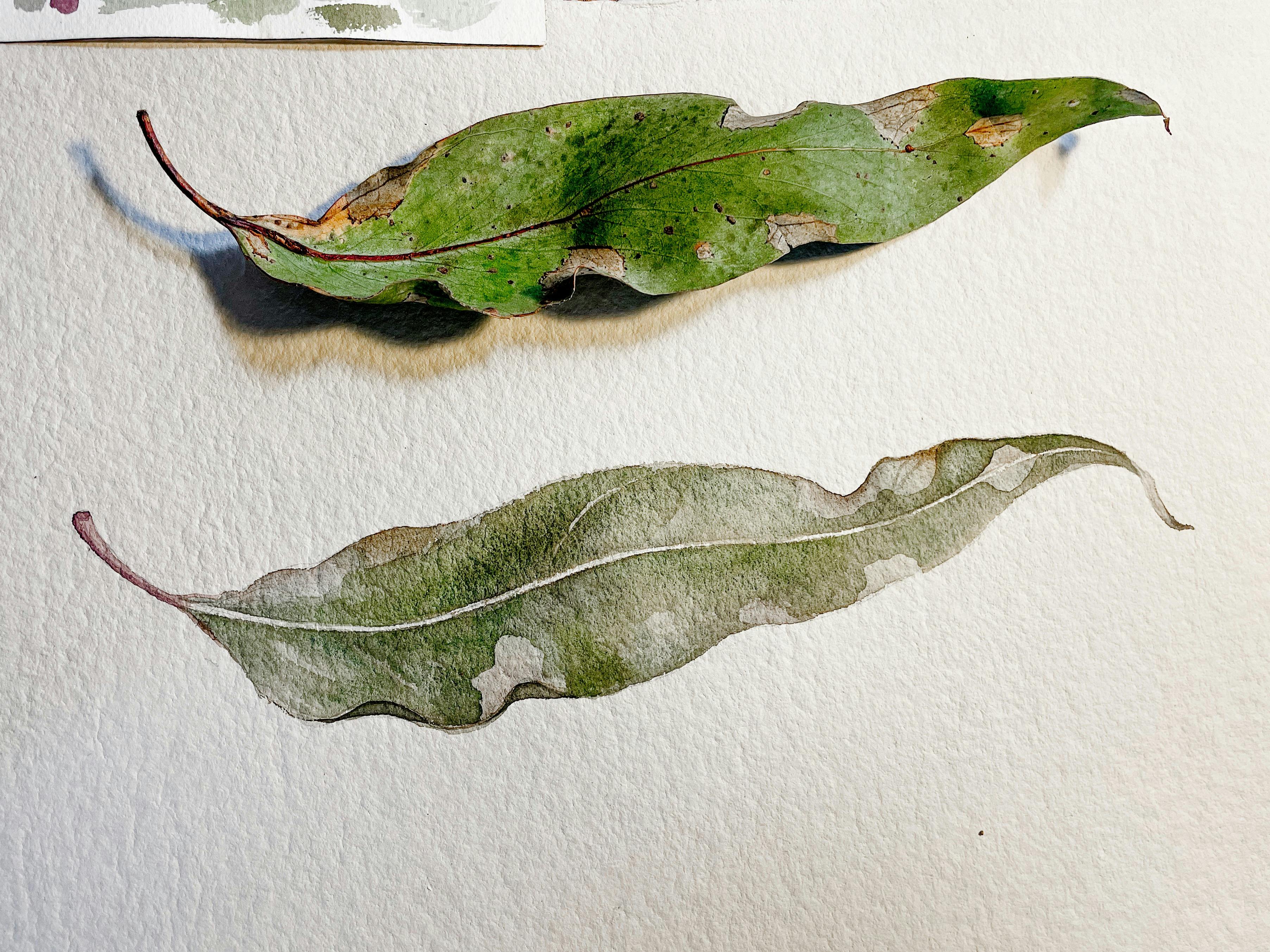 Capturing the Change: Watercolours with Judith Van Heron