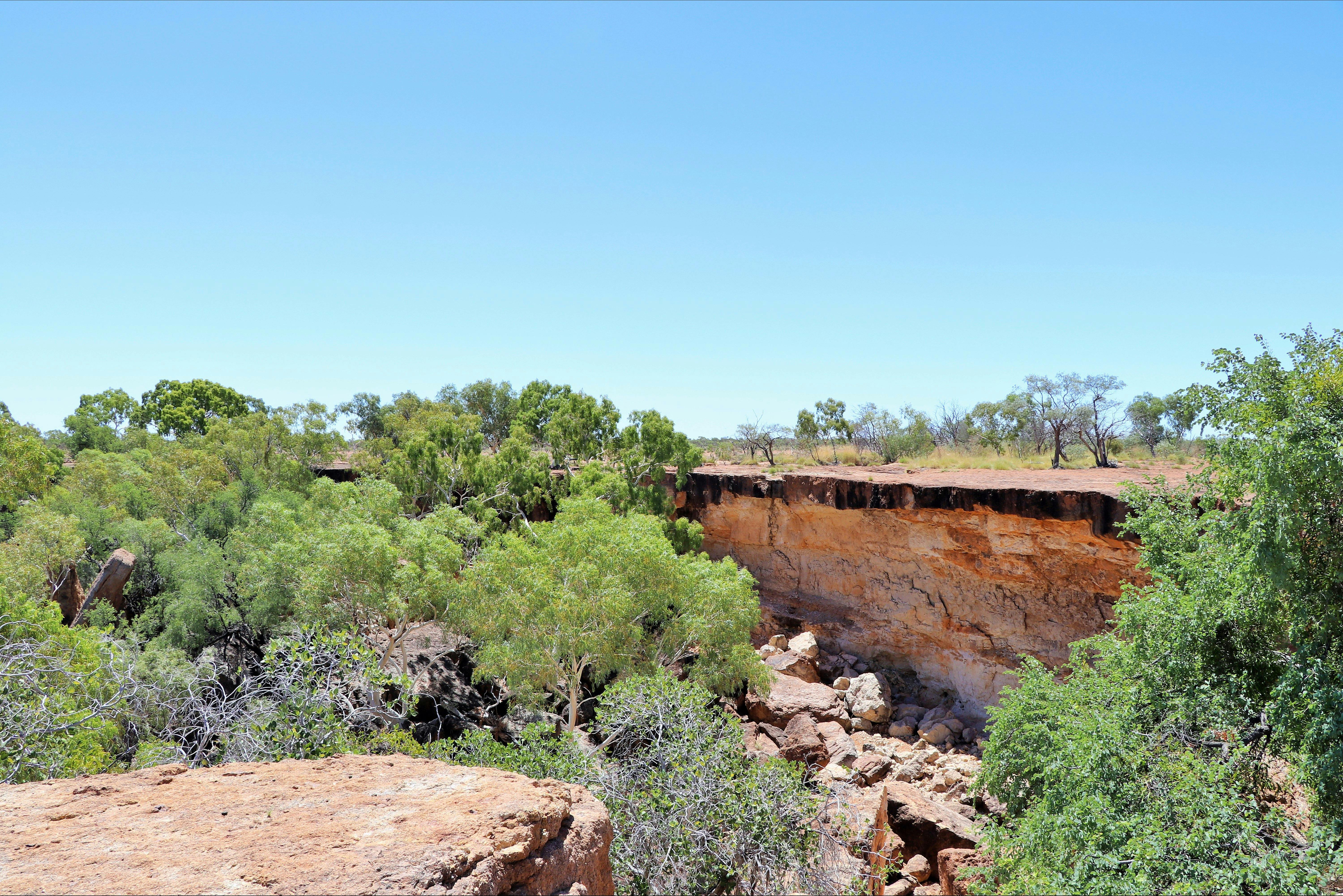 Sandstone cliff edge falling into shallow gorge lined with a few trees and rocks