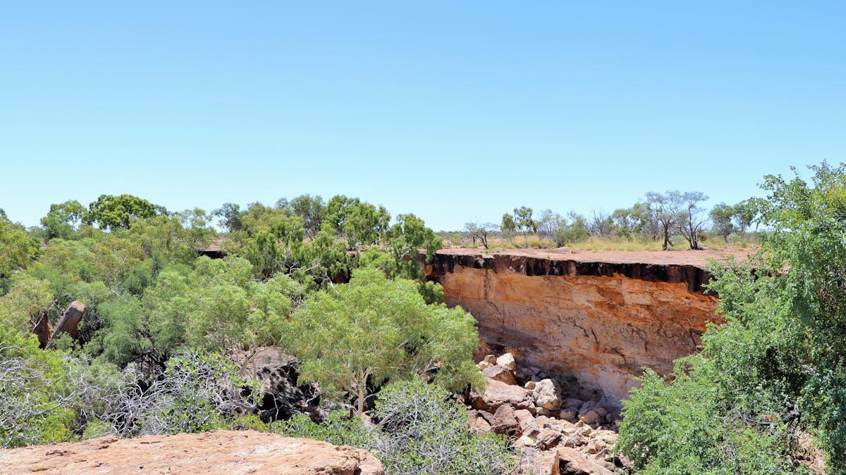 Sandstone cliff edge falling into shallow gorge lined with a few trees and rocks