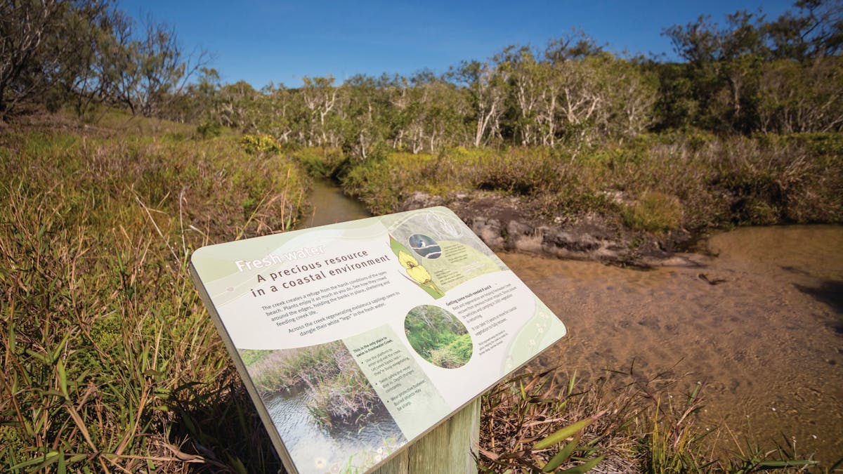 Interpretive sign along  Freshwater Creek Track