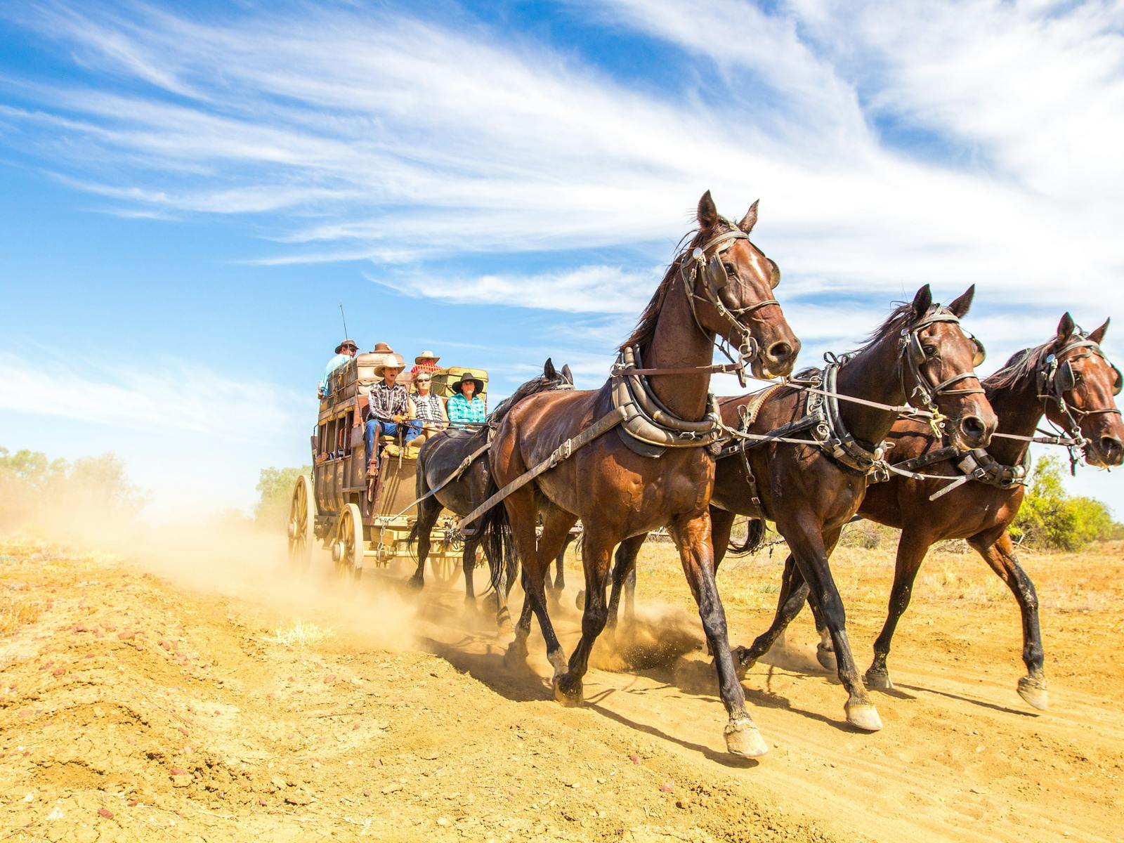 Stagecoach ride Outback Pioneers