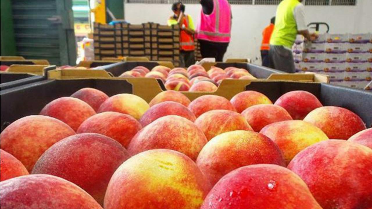 Sydney Produce Market