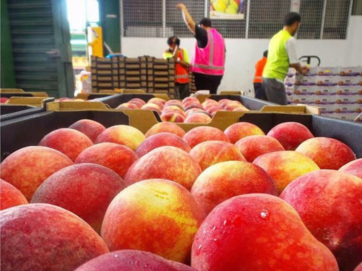 Sydney Produce Market