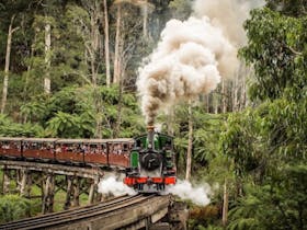 Eastern Dandenong Ranges Trail
