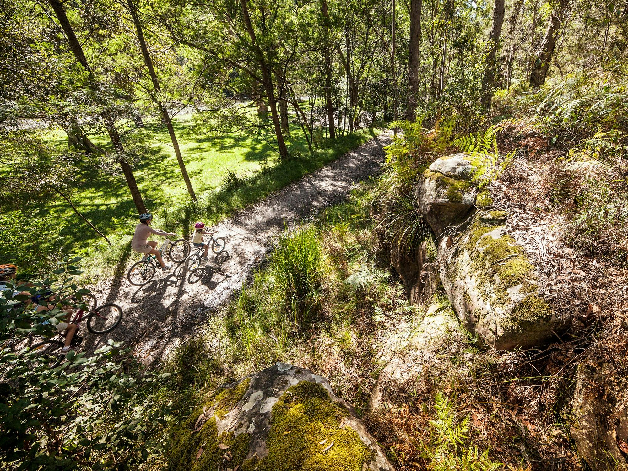 Family fun on bikes Lady Carrington Drive Royal National Park