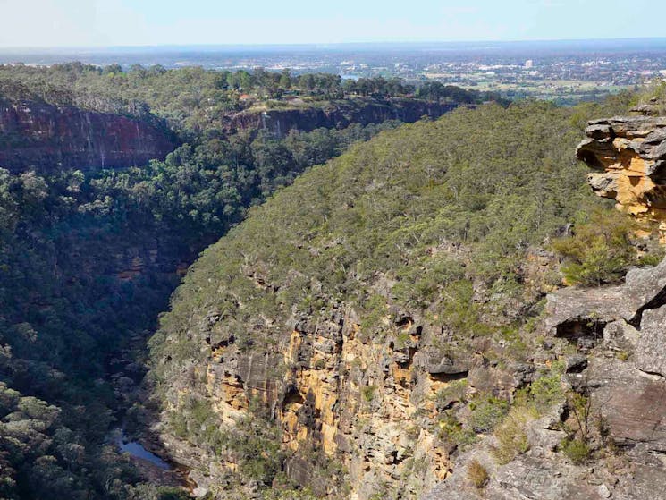 Jack Evans Track, Glenbrook Gorge, Blue Mountains National Park. Photo: Steve Alton/NSW Government