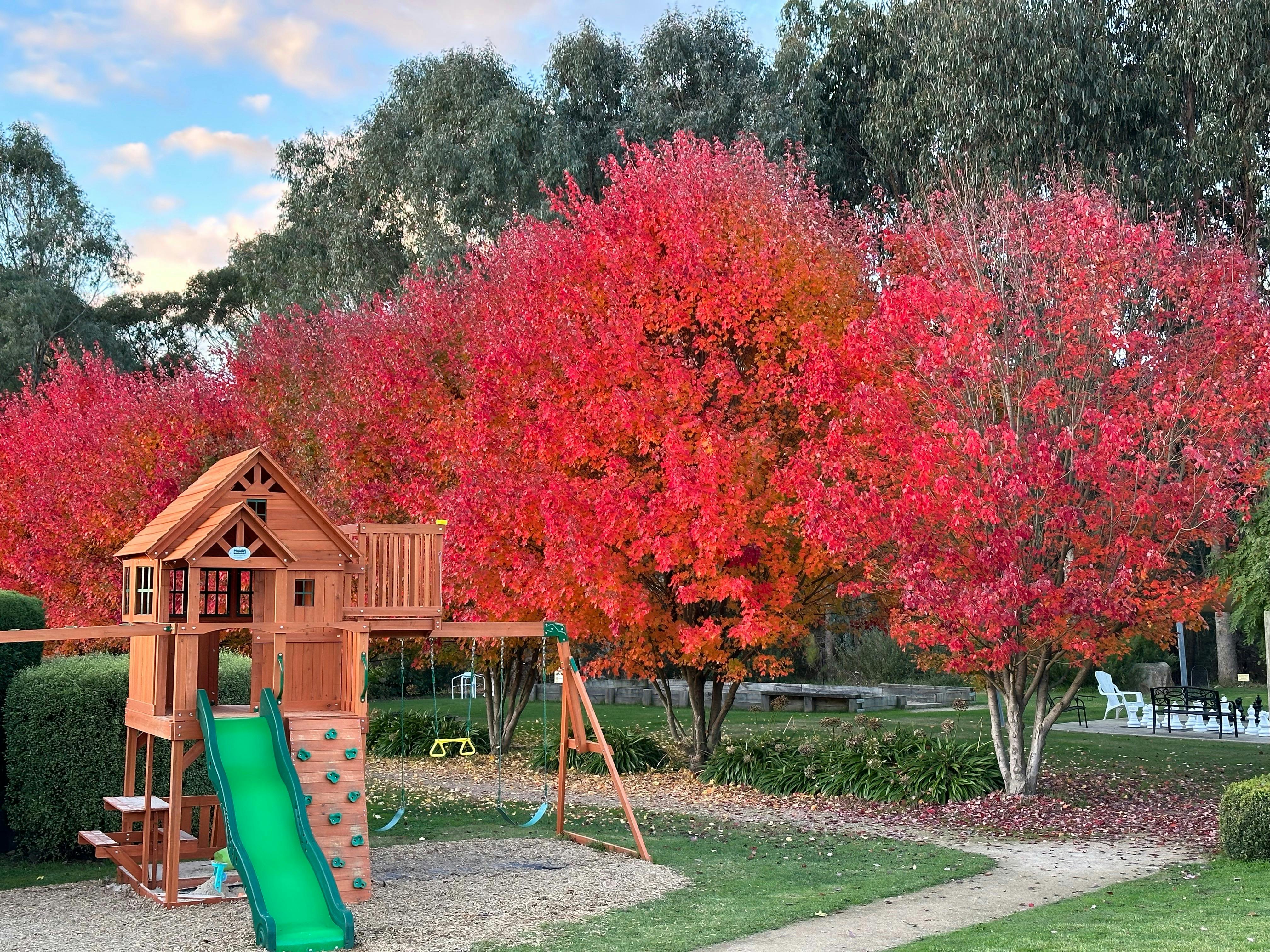 A double story palest with slide, climbing wall and lookout tower at Brookfield Maze