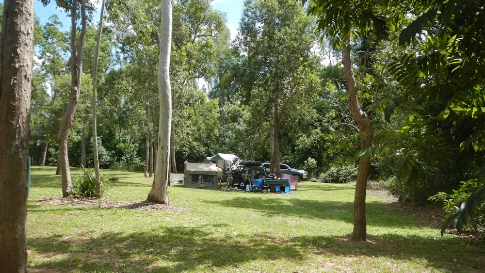 Broadwater camping area, Abergowrie State Forest