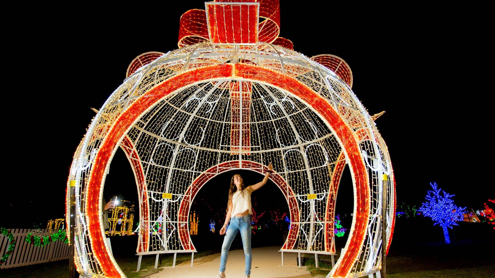 Image for Christmas Lights Spectacular at Hunter Valley Gardens