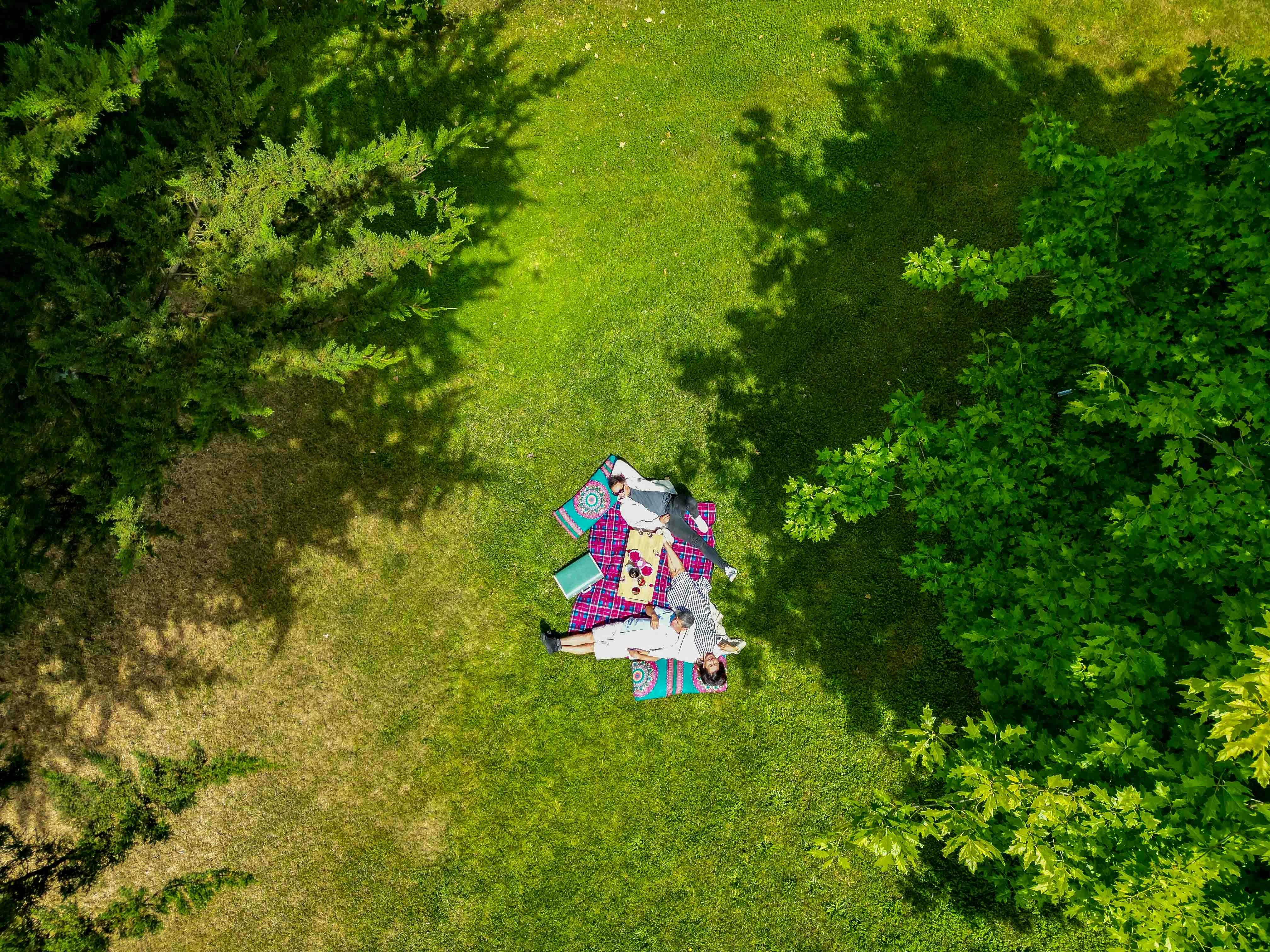 An aerial photo of 4 guests relaxed on a picnic rug and cushions on a grassed area of the winery