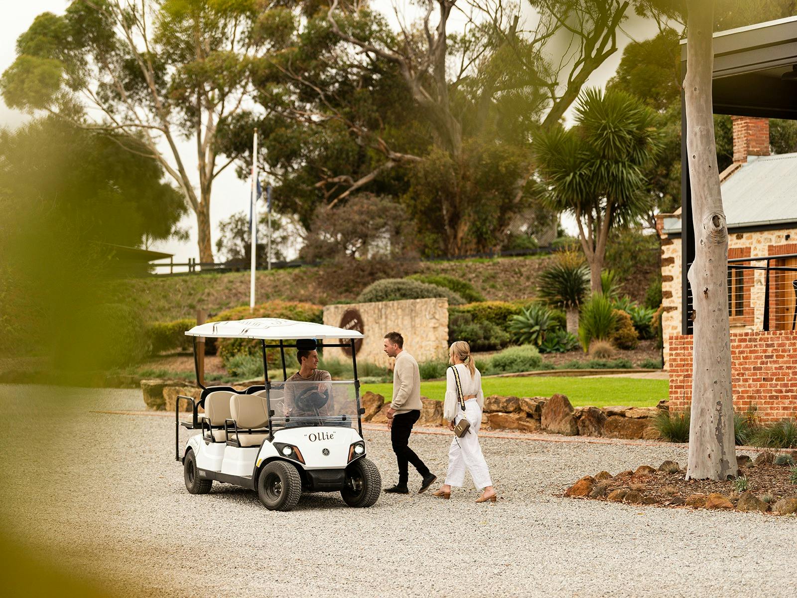 Oliver's Taranga Terroir Tour 'Ollie'