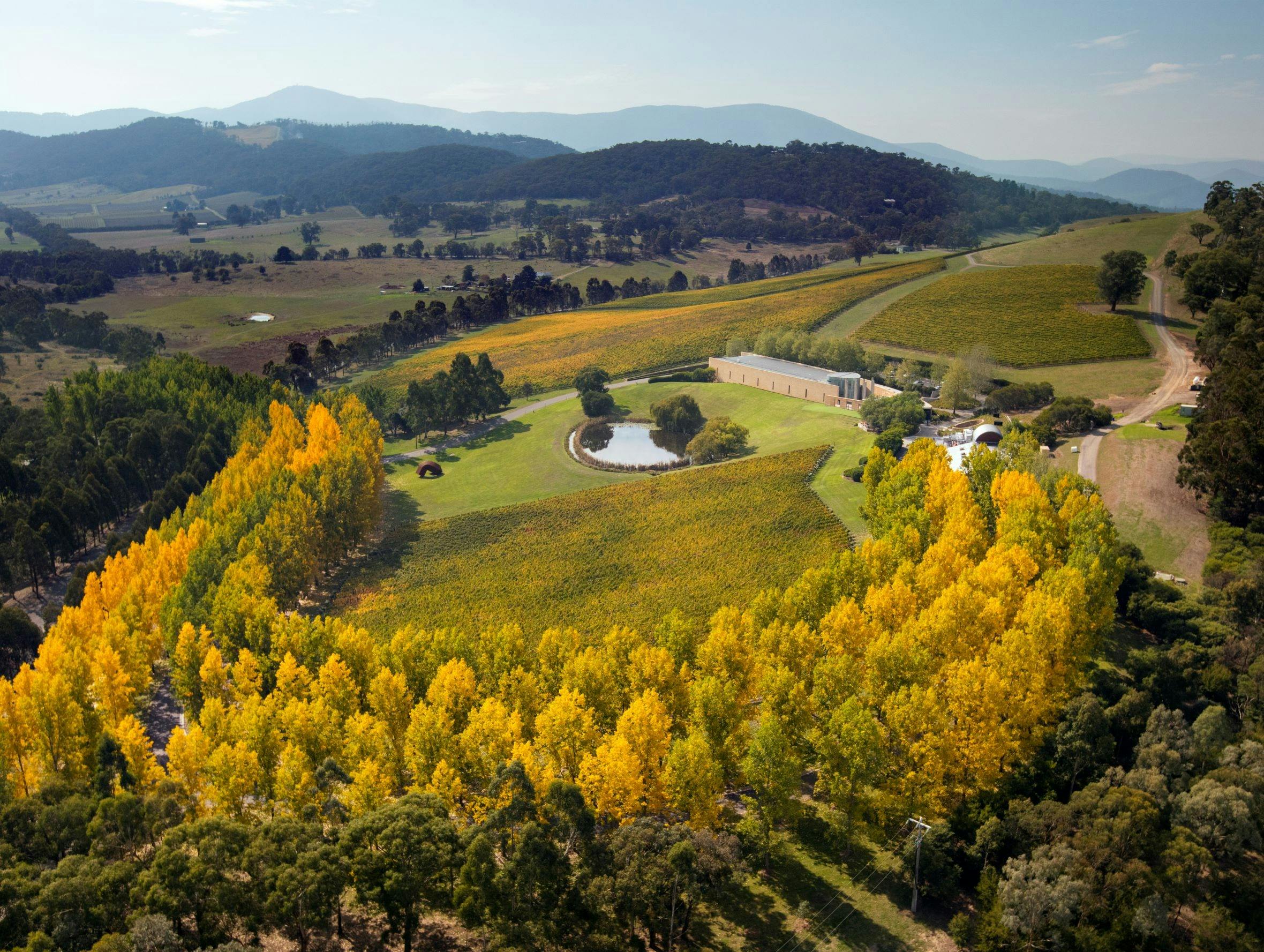 TarraWarra Museum of Art aerial view