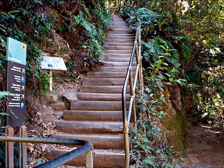 Federal Pass, Blue Mountains National Park. Photo: Steve Alton