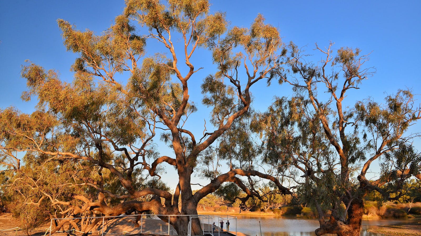 Brisbane to Birdsville 4WD Adventure Drive