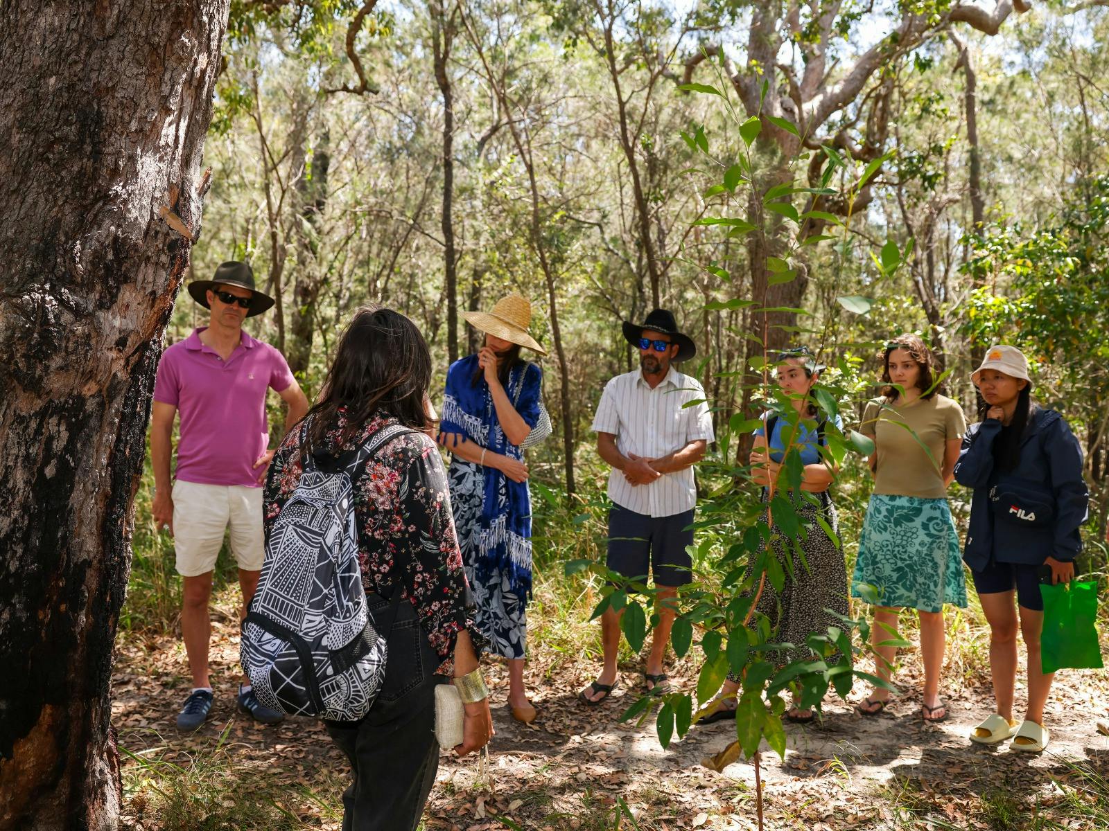Flavours of the Bush: bush tucker & bush medicine tour with bush tukka tasting plate