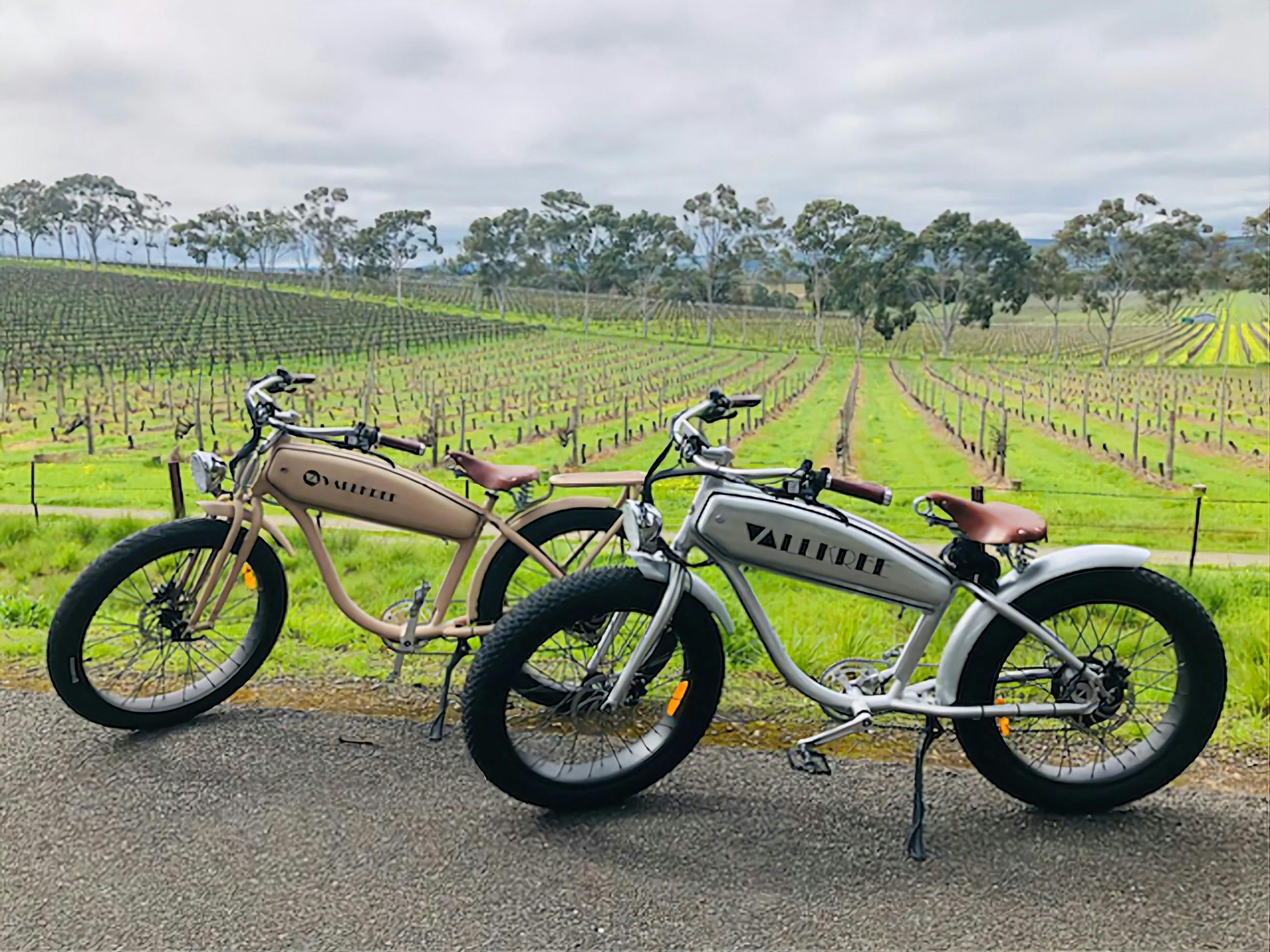 Deluxe Ebike Hire Hub McLaren Vale