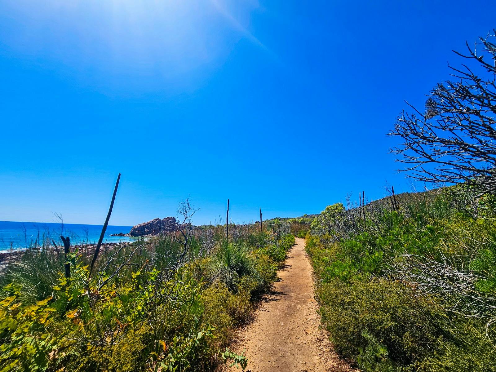 Meelup Reserve Walk Trail