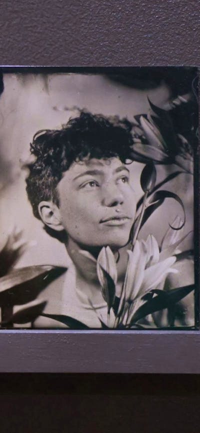 Lilium asiatica; Jonathan he/him, 2023.