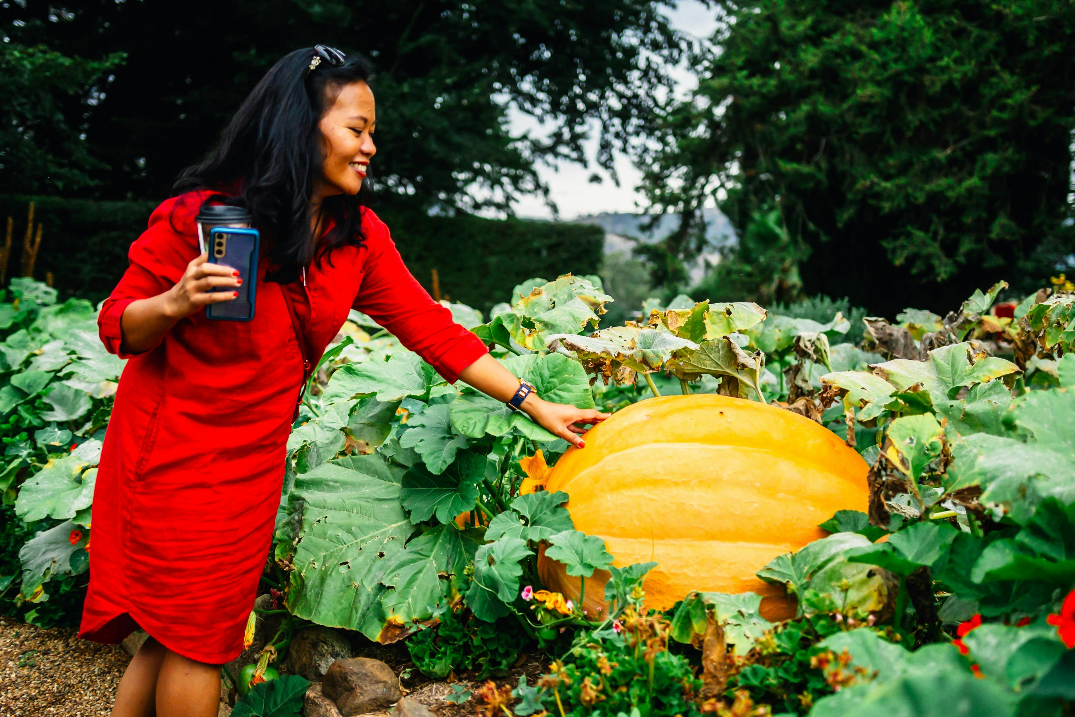 Woman reaching out towards large pumpkin in Lanyon Homestead gardens