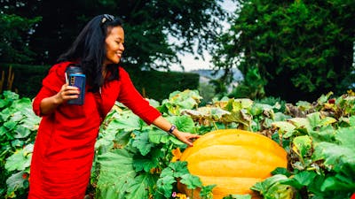 Woman reaching out towards large pumpkin in Lanyon Homestead gardens