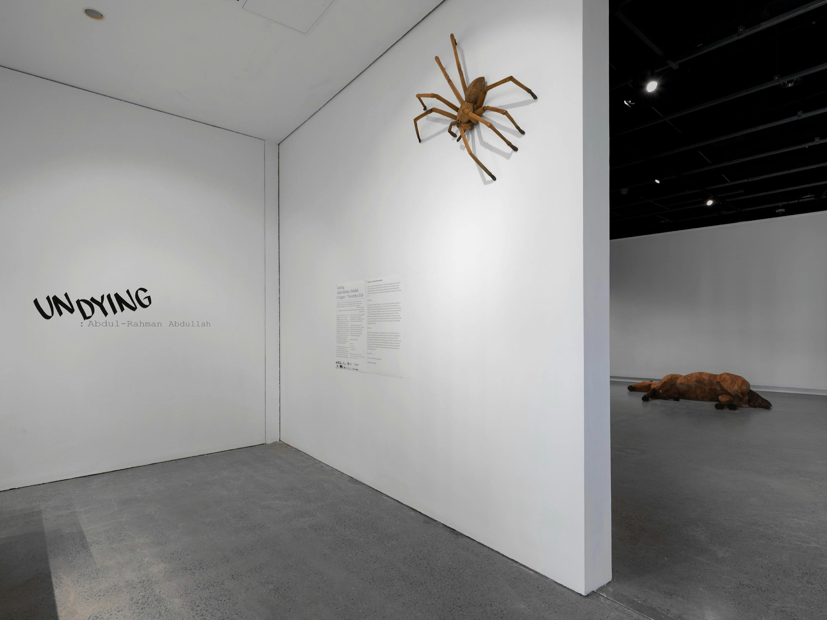 A white gallery entry with a large sculptural huntsman spider climbing on the wall. Text: UNDYING