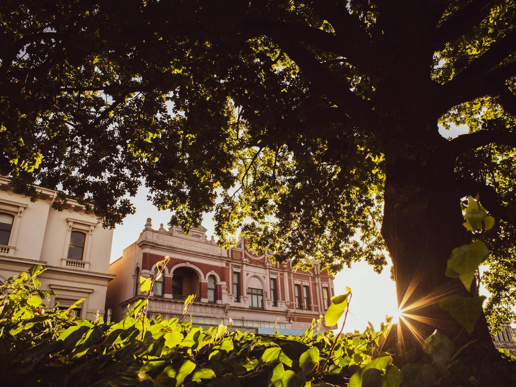 Hidden Lanes, along Sturt Street Ballarat
