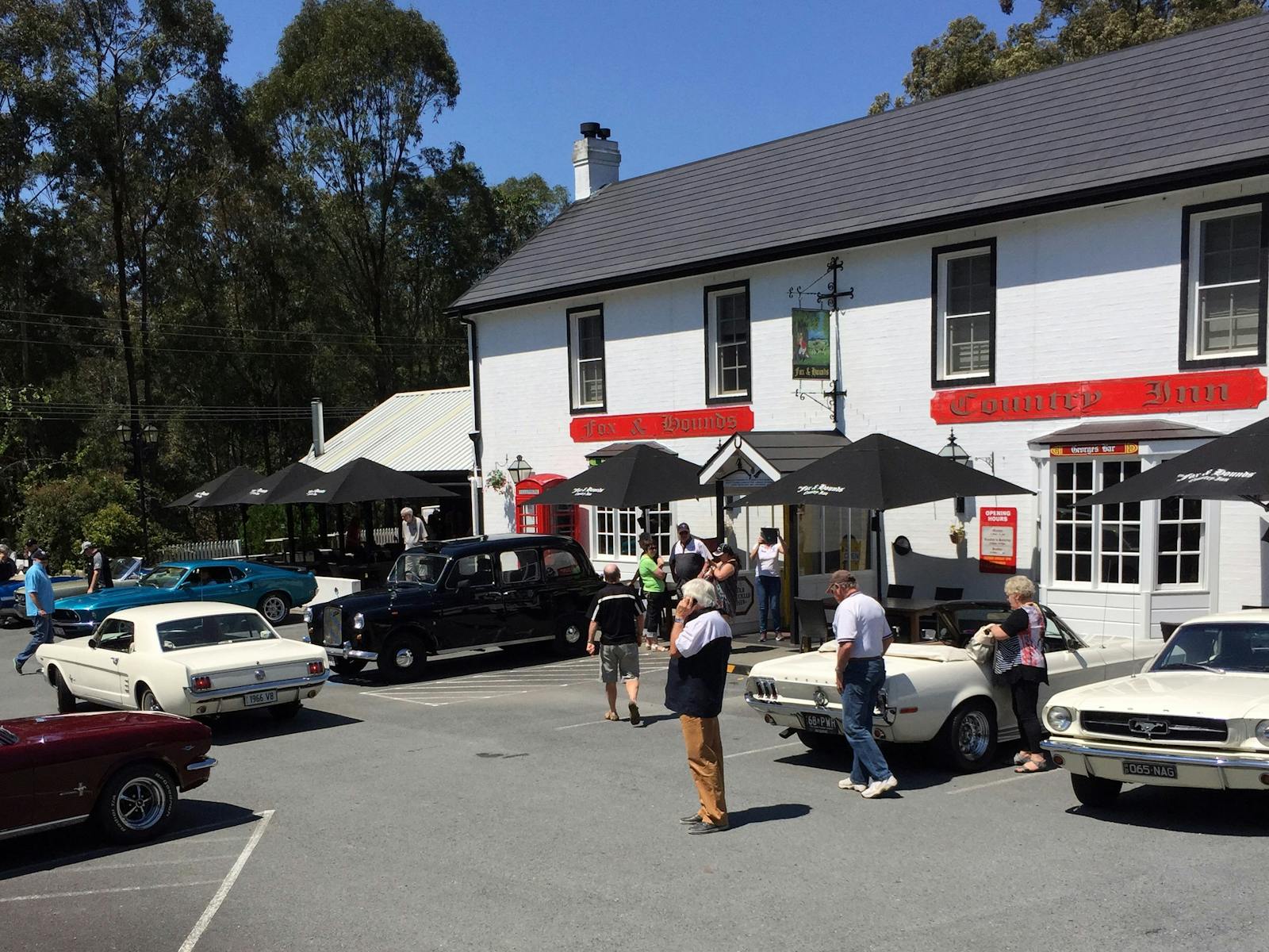 Fox and Hounds
