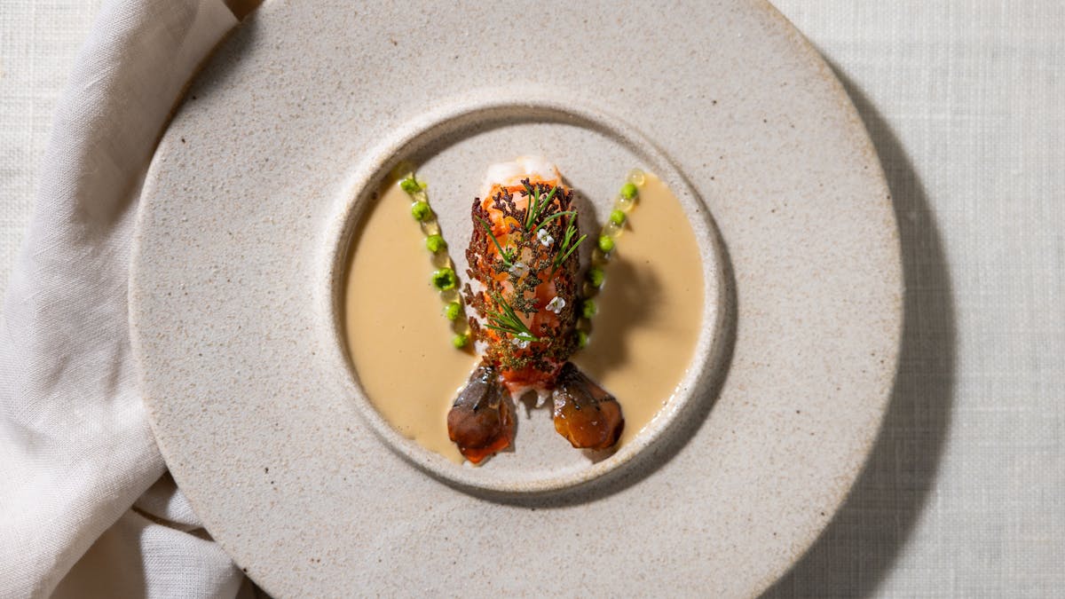 Red Claw Yabby - Cucumber, Warrigal Greens, Lemon Verbena, Brown Butter