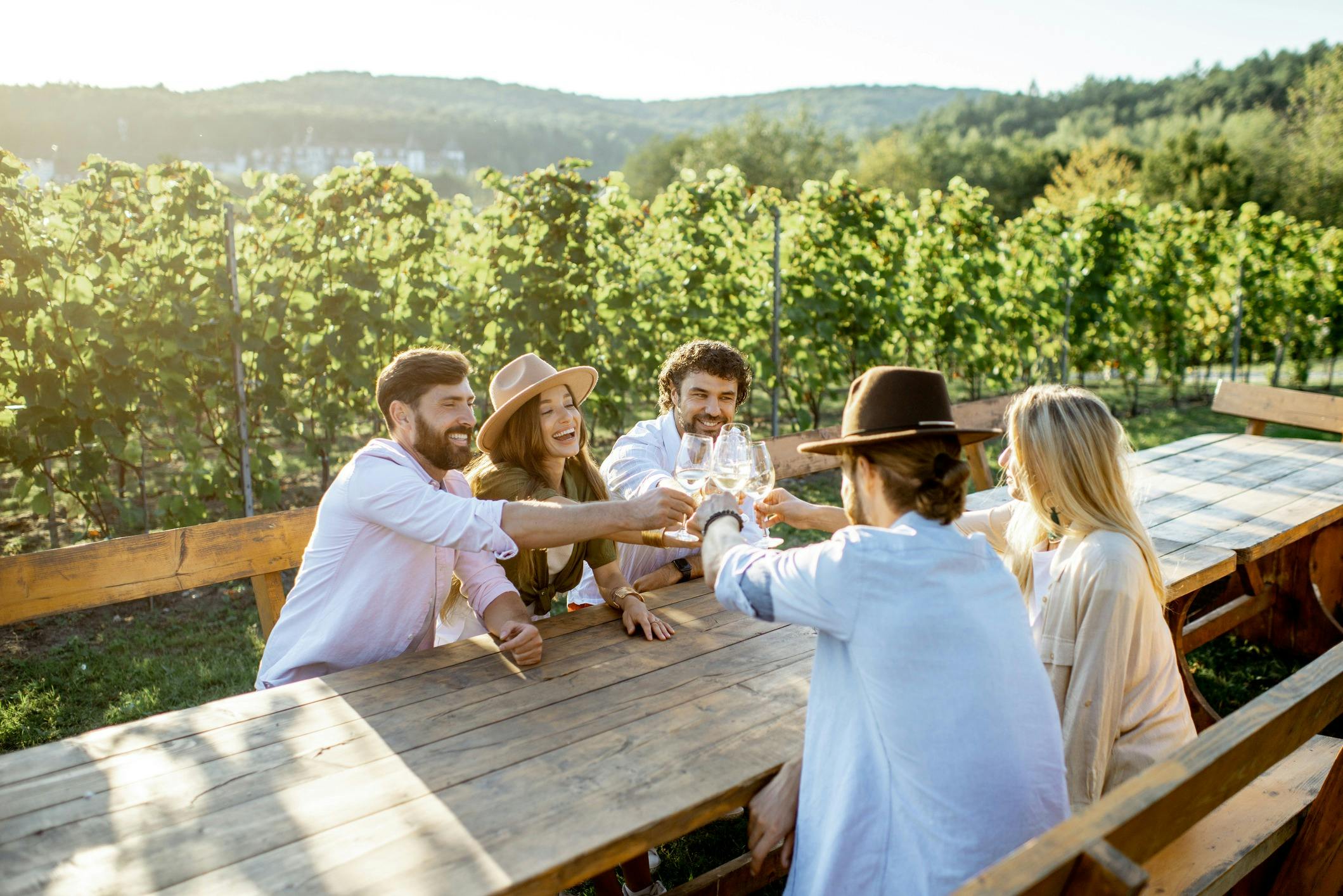 Wine tour