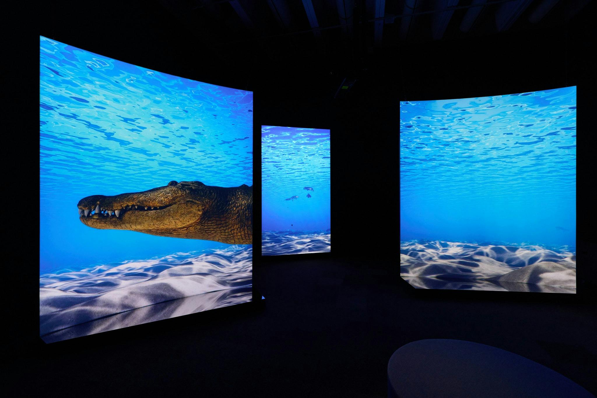 Croc! Lost Giants to Living Legends