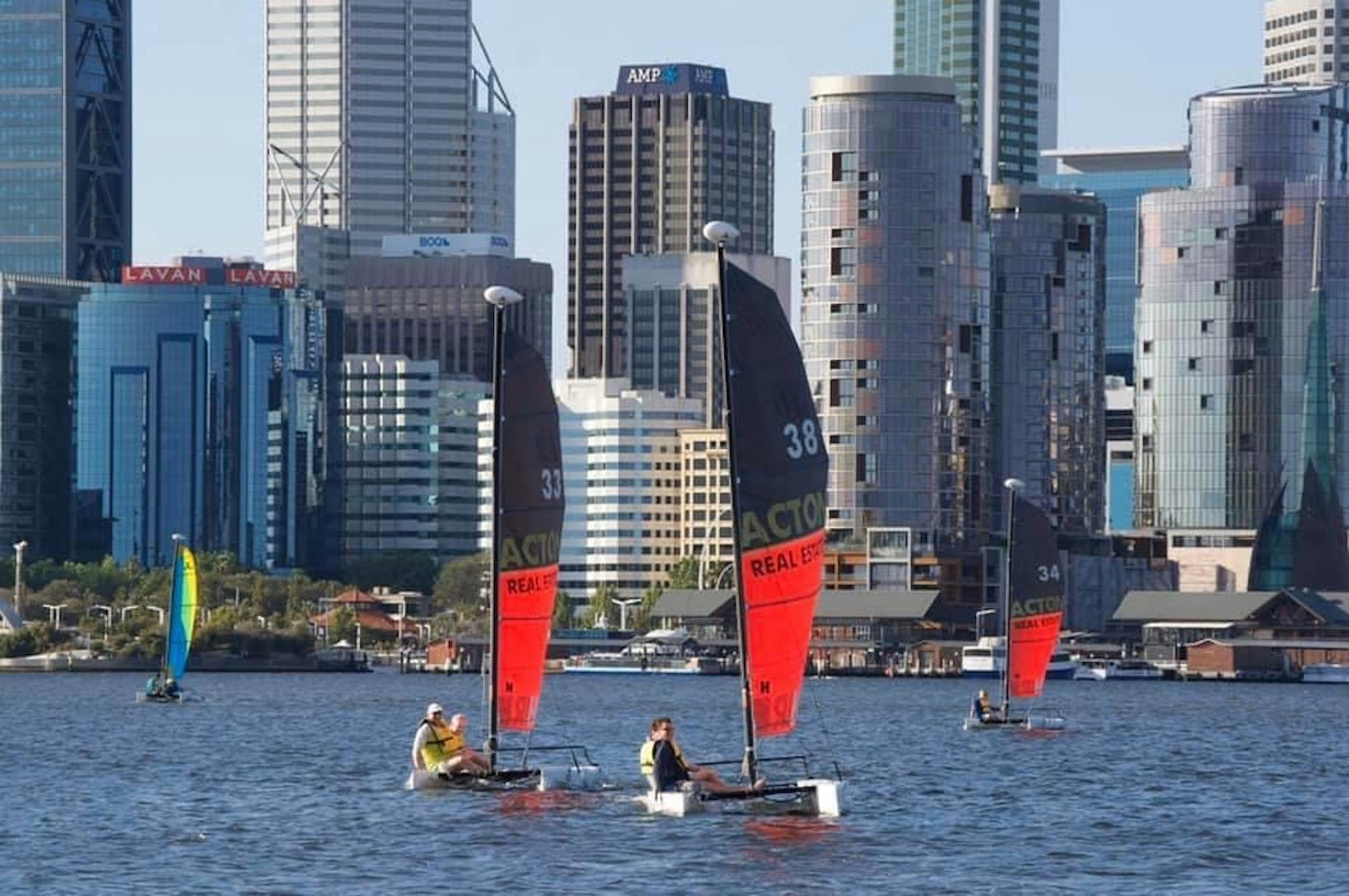 Catamarans sailing back from the city with the stunning city skyline in the backgroud.