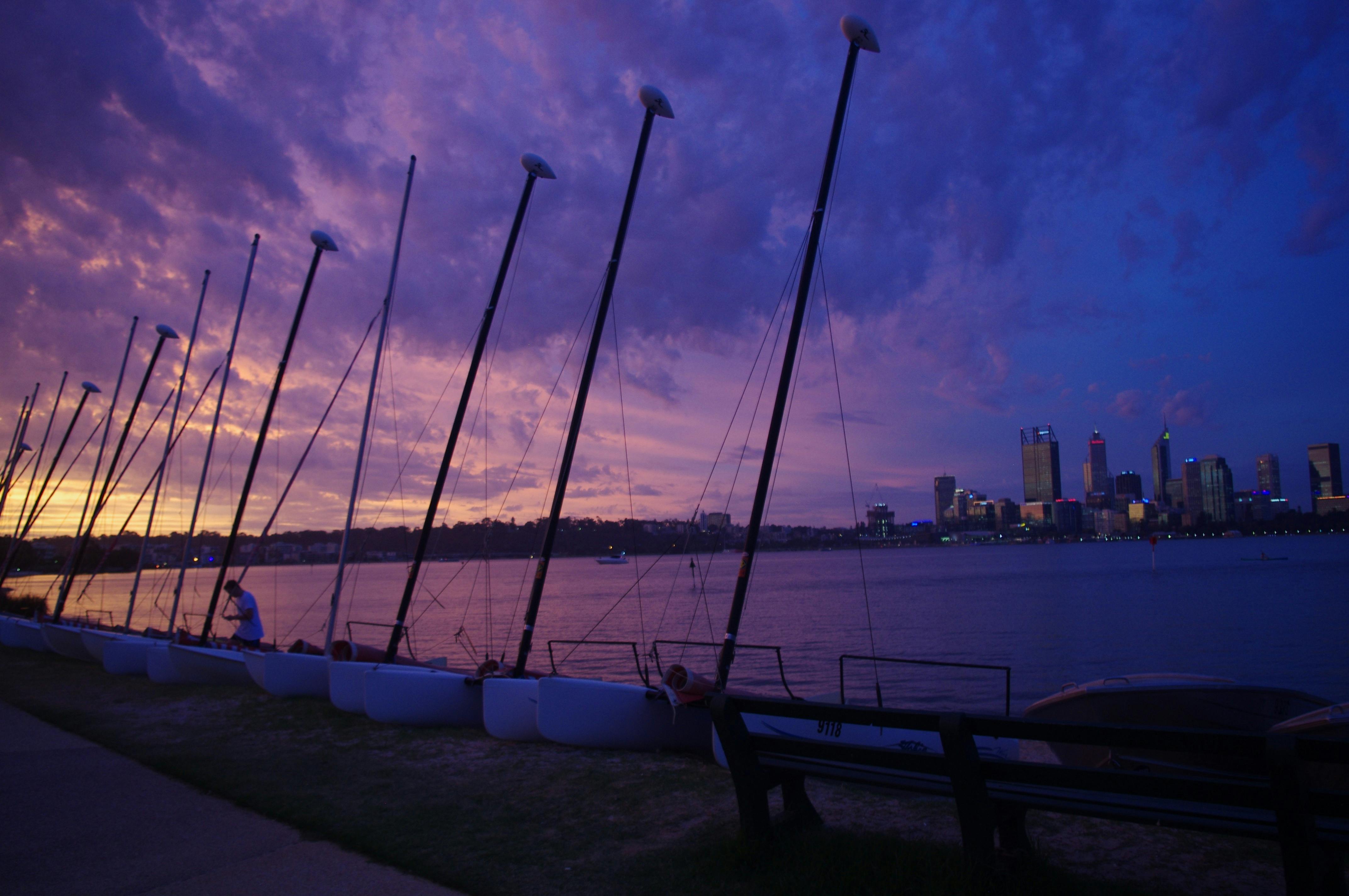 Funcats, South Perth, Western Australia