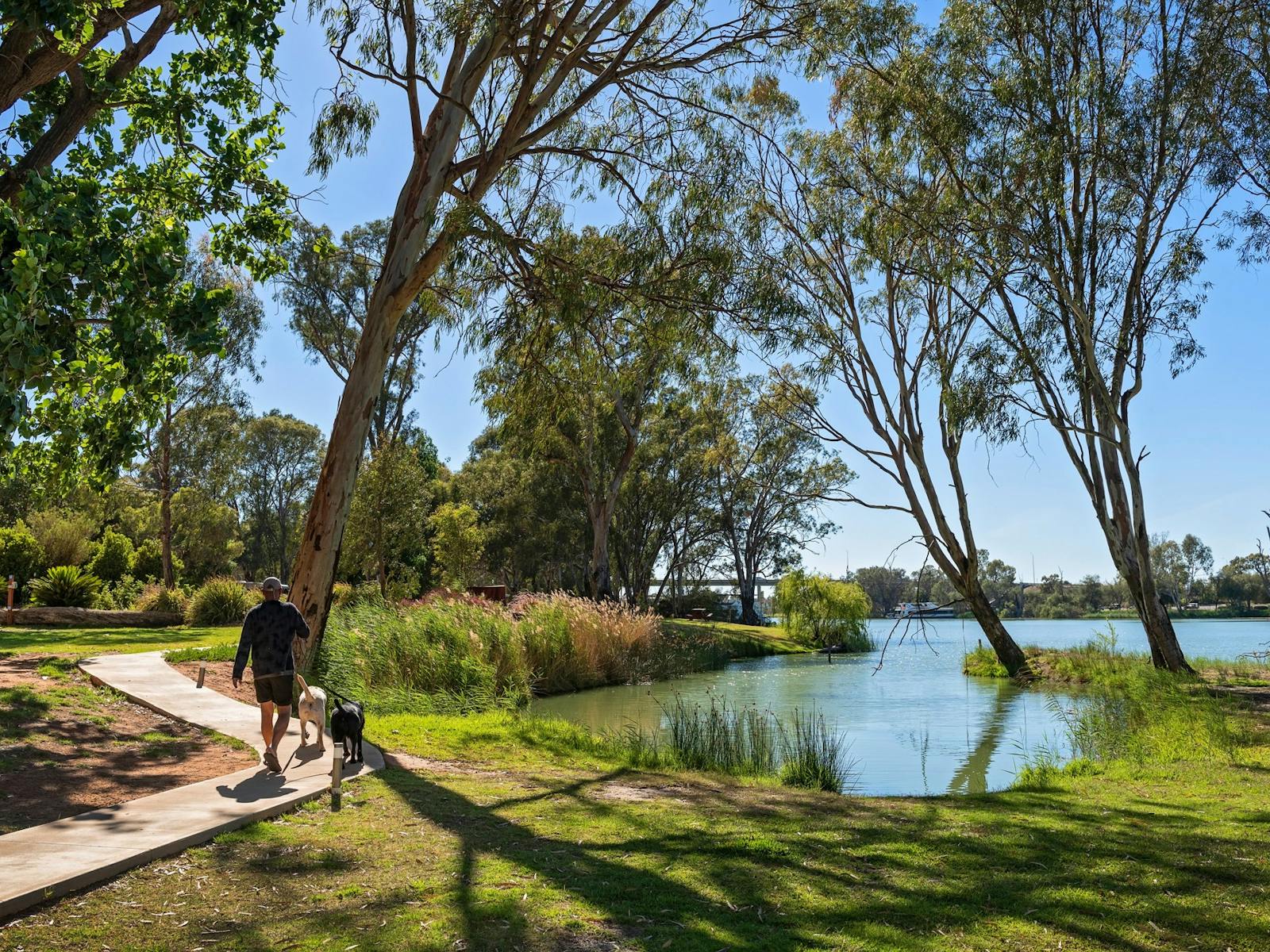 Buronga Discovery Parks - Mildura, Buronga Riverside | NSW Holidays ...