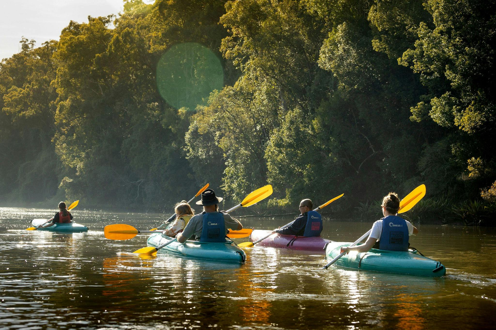 Group of friends paddling into the sunset on calm waters with Bellingen Canoe Adventures