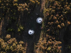 Drone photo of two domes from above surrounded by gum trees and shadows from golden hour