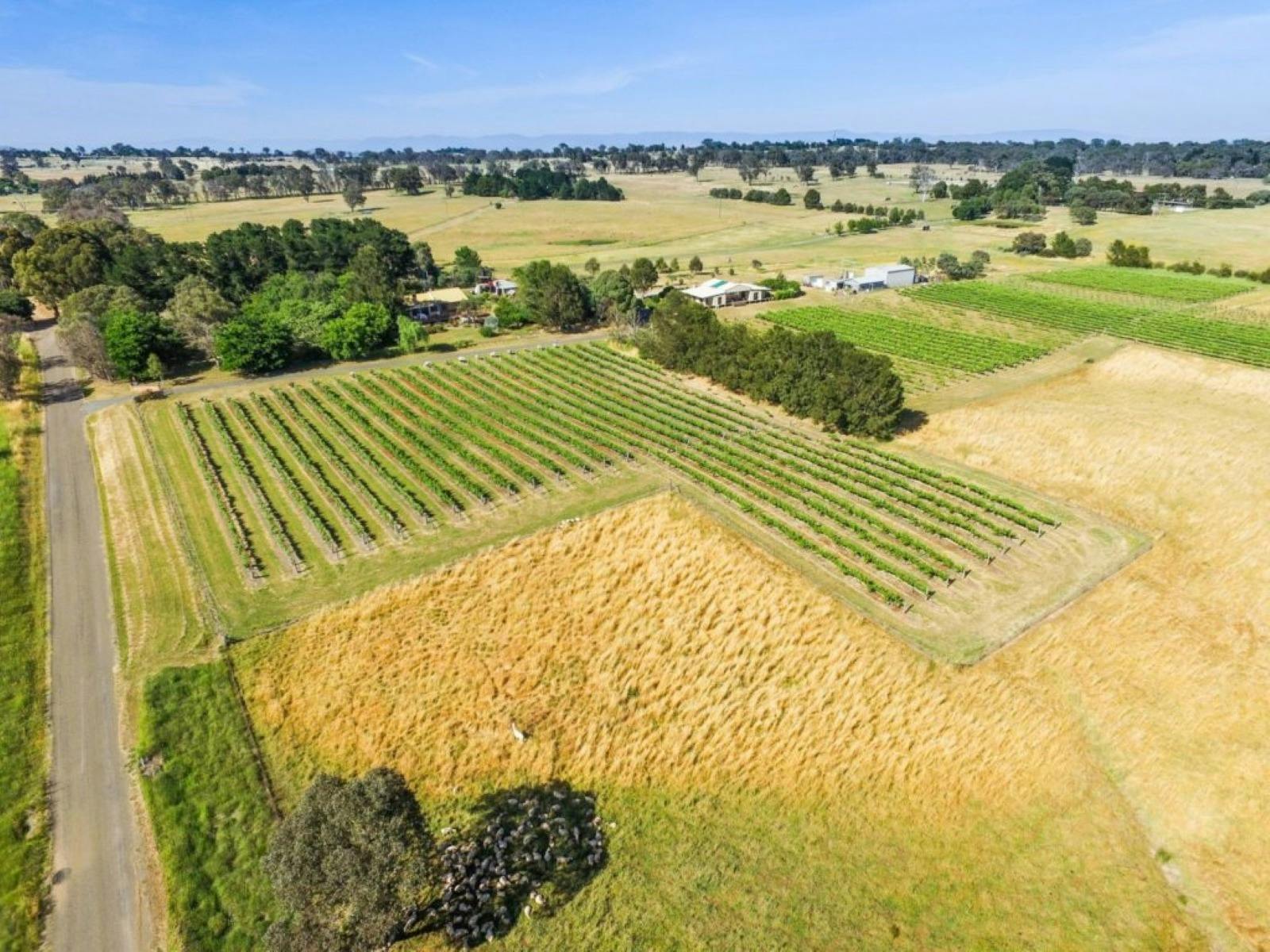 Enjoy the rural surrounds of the Canberra cool climate wine region