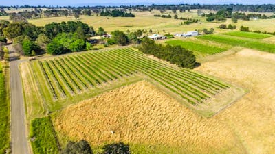 Enjoy the rural surrounds of the Canberra cool climate wine region