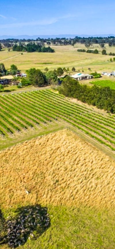 Enjoy the rural surrounds of the Canberra cool climate wine region
