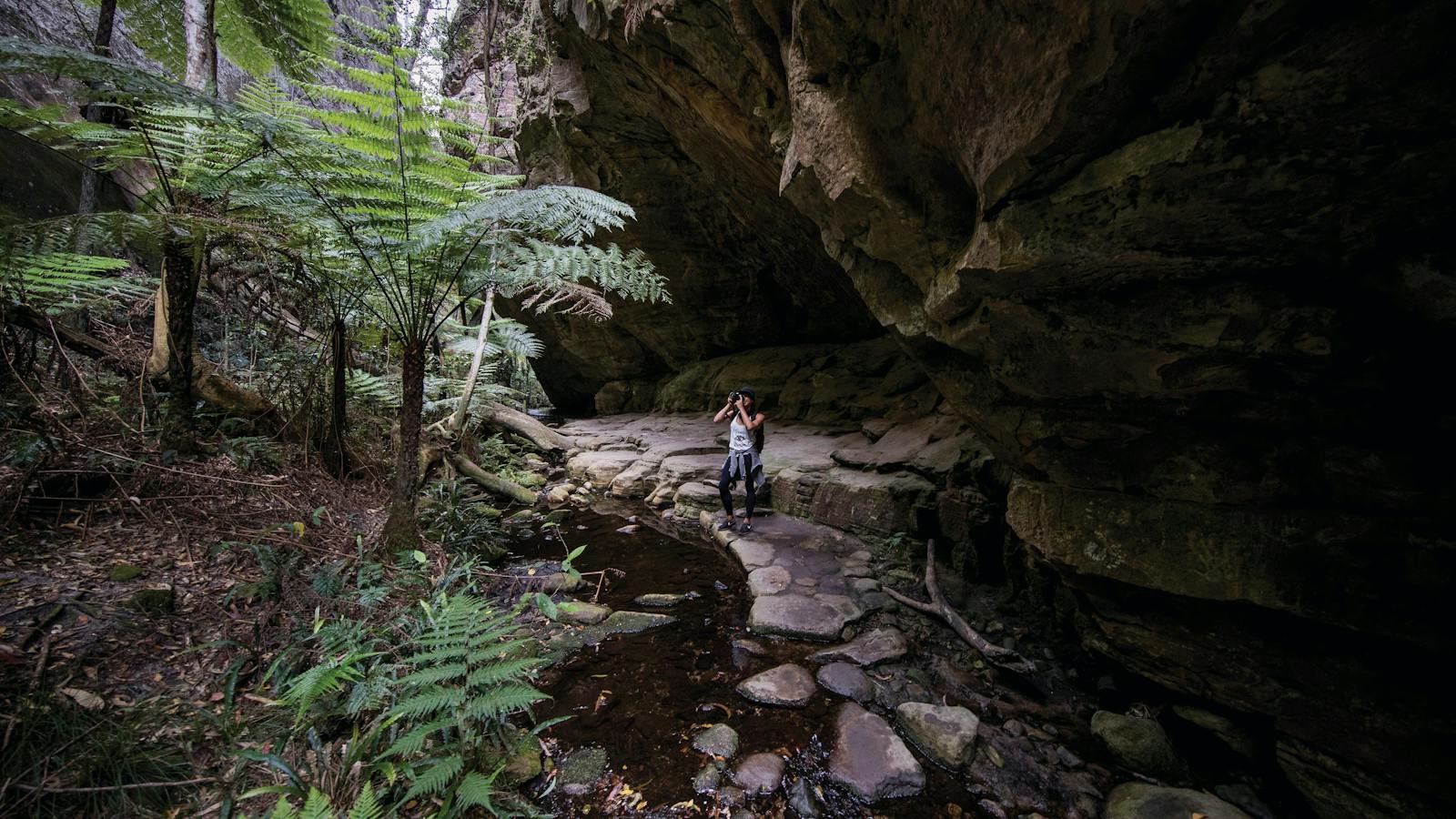 Carnarvon Gorge