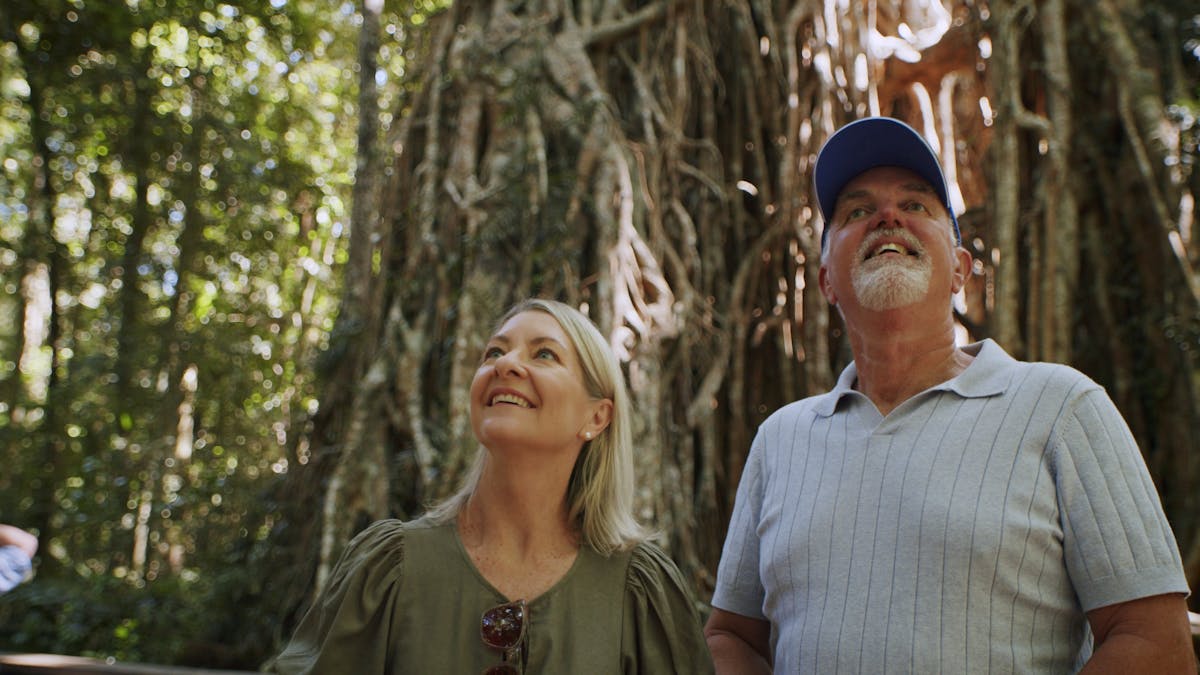 Cathedral Fig Tree