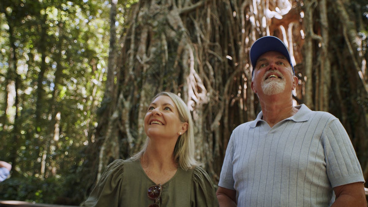 Cathedral Fig Tree