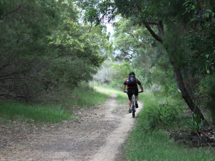 Loftus loop trail